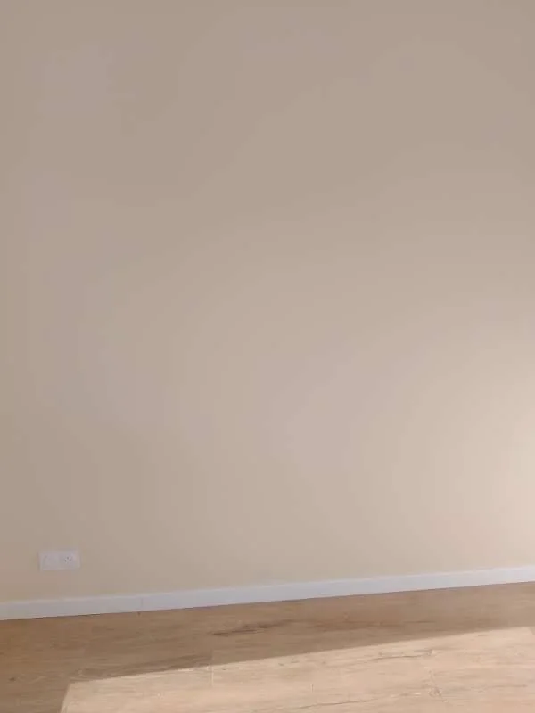 Rénovation générale — chantier intérieur en Île-de-France