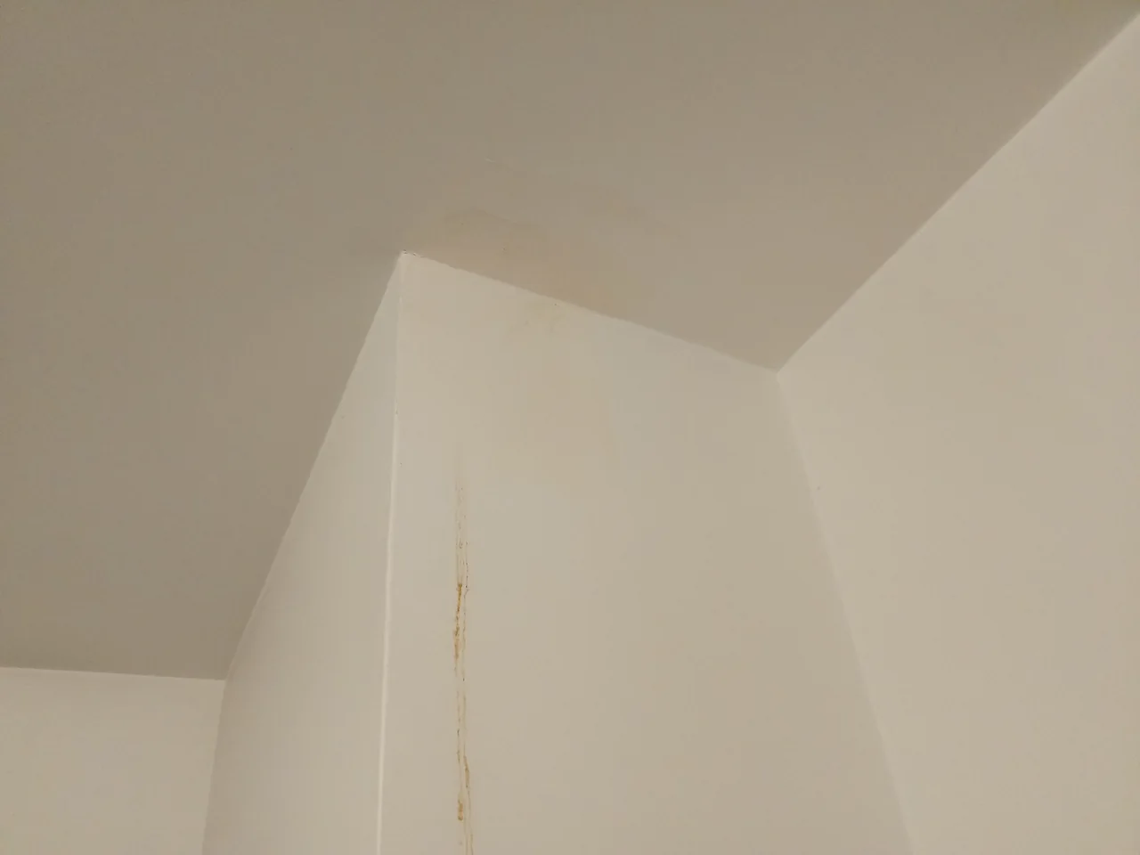 Peinture — chantier intérieur en Île-de-France